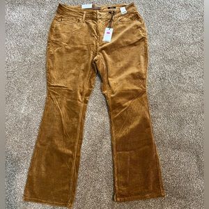 NWT Judy Blue Corduroy pants 18W
